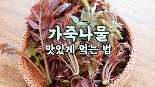 신비의 참죽나무의 여린 잎을 가죽나물 맛있게 먹는 3가지 방법