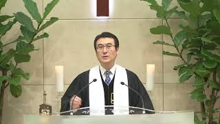 신애교회 주일예배(황웅식목사) / 방주로 들어가야 생명과 안식이 있다.(창 7:1-12)