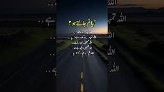 Kia Tum janty ho...?😱👆😨⚡〽️✴️ | Heart Touching Lines #islamic #trendingshorts #shortsviral #urdu