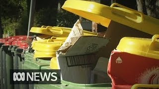 Recycling crisis prompts call to switch to six-bins system |ABC News