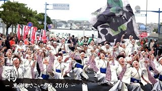 [4K] 鴉 – 黒潮よさこい祭り 2016 – シンボルロード会場 | Yosakoi Team \