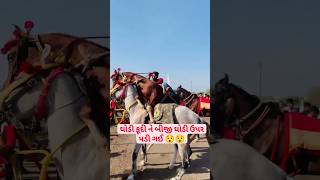 ઘોડી કુદીને બીજી ધોડી ઉપર સડી ગઈ #horse #kathiawadihorse #horses #horsevideo