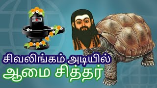 ஆமை சித்தர் உண்மையா ? 👀🐢 சிவலிங்கம் அடியில் இருந்தது ! Siva Lingam Turtle Rescue