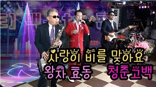 🎸사랑이 비를 맞아요  🌺 왕자 효동 🌹 청춘고맥  색소폰 장진수 트럼펫 김종술 기타 김영훈 백운tv