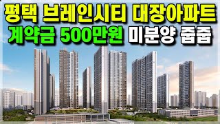 평택 브레인시티 대광로제비앙 그랜드센텀 계약금500만원에 수도권 34평 미분양아파트 줍줍! 경기도 평택 고덕, GTX지제역, 오산, 동탄 인접 34평 4억대아파트 [640]