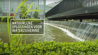 Water Management in Flanders: Innovative Solutions for a Sustainable Future