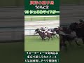 【期待の相手馬】シュネルマイスター 競馬 競馬予想 g1 安田記念 ルメール