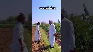 માથાભારે સ્ટેટ્સ #viralvideo ગુજરાતી સ્ટેટસ લાઈક શેર સબસ્ક્રાઇબ કોમેન્ટ કરો 🔥🔥🔥🔥🔥🌹🌹🌹🌹🌹♥️♥️♥️♥️♥️😄😄😄😄