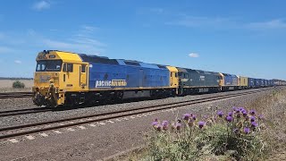 7902V Pacific National Container Freight (nick named the Fruity) 11/12/24