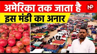 इस अनार मंडी से दुबई और अमेरिका जाता है Pomegranate, || Anar ka Bhav || डाळिंब रेट || Jalore