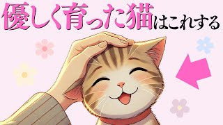 【優しく育てられた猫だけがする行動】 猫の雑学 #猫 #ねこ