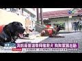 高市消防局辦中元普渡 祭拜搜救犬 華視新聞 20200902