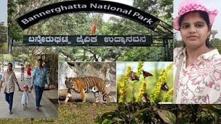 Bannerughatta National Park. ಬನ್ನೇರುಘಟ್ಟ ನ್ಯಾಷನಲ್ ಪಾರ್ಕ್. 🦓🐯🐒🦁🦒🐓🐤 kannada daily vlog.