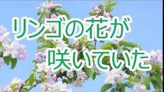 リンゴの花が咲いていた　　佐々木新一　COVER