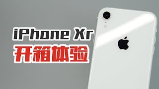 【涛哥测评】为什么我会把主力机换成iPhone XR？