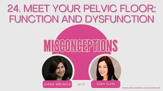 24. Meet Your Pelvic Floor: Function and Dysfunction