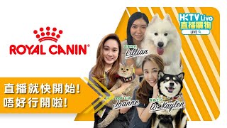 HKTVLive主持Joanne 2024年12月LIVE - Royal Canin