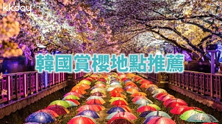 【韓國旅遊攻略】韓國賞櫻地點推薦，春季旅遊必去！多個絕美賞櫻花景點｜KKday