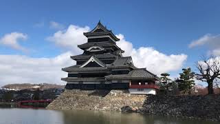 松本城さんぽ　2020年3月15日 Walk around matsumoto castle