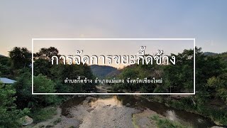 รายงานความก้าวหน้าโครงการจัดการขยะกื้ดช้าง (Progress of the Kued Chang Waste Management Project)