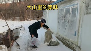 东北山村邻里关系有多好？要一颗冻白菜非得给4个，城里人羡慕吗【东北林区艾三】