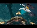 Hungry Shark Evolution Moby Dick Android Gameplay #7