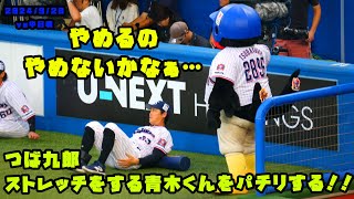 つば九郎　ストレッチをする青木くんをパチリする！！　2024/9/20 vs中日