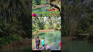 #കരേക്കാട് #karekkad #കരേക്കാടൻ VLOGGERS #karekkadan vloggers #karekadan vlog #karekkadan vlog