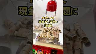 あのカリーノで現金取り放題できるらしい？！３回挑戦してみた！［UFOキャッチャー、クレーンゲーム］#Shorts