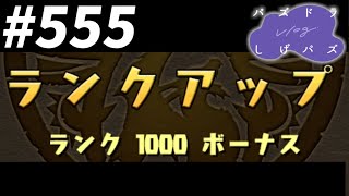 【パズドラVlog】無課金サブ垢しげパズがついにランク1000到達！ボックスも全てお見せします！！！【しげパズ#555】