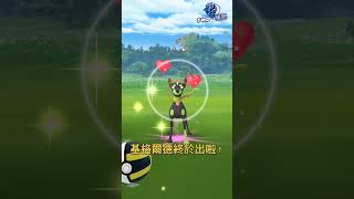 ［Pokemon go］基格爾德終於出了！ #衝千訂日更計畫 #pokemon #pokemongo #基格爾德 #shorts