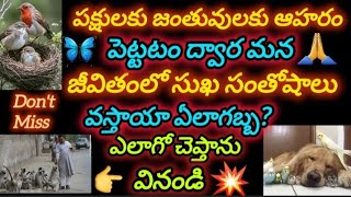 pakshulaku janthuvulaku aahaaram pedithe mee life lo happyness Ela vasthundho chepthaanu 🤗