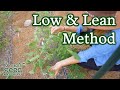 Trellis like a PRO with the low & lean method | How we use this commercial system in our home garden