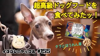 タラがメインの高級ドッグフードを食べさせてみた【プレイアーデン】Italian Greyhound