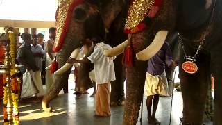 ChathannoorSreebootha natha temple അത്തം2014 part3