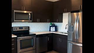 Studio 494 Square Feet #37