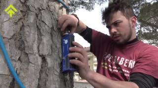Pulling Test Lignano | SuPerAlberi