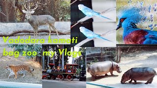 Vadodara || kamati Baug Zoo ||સયાજી બાગ વડોદરા ઝૂ Tiger Lion