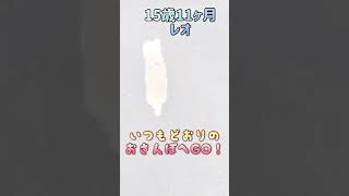 元気な時はぴょんぴょん出来るよー♪