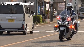 おい！！こいつらヤバすぎる！さて、白バイが追うのはどの車両！？•新型白バイNT1100Pが歩行者妨害車両を検挙！！•赤信号を一度止まったのになぜ前進！一部始終を見ていた白バイが検挙！等