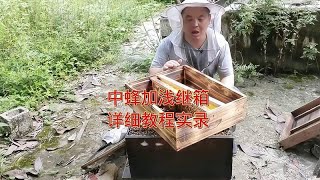 中蜂加浅继箱详细教程实录