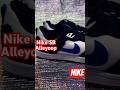 Nike SB Alleyoop #nike #skating  https://s.shopee.co.th/5KqABXcalH