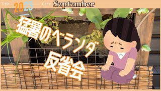 【めだか】夏の暑さ対策・すだれの使い方間違ってました