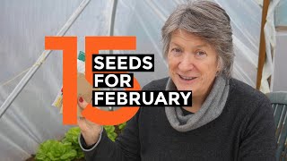 What To Sow In FEBRUARY | Easy to grow crops