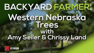 Western Nebraska Trees