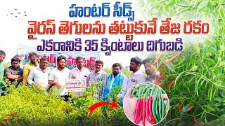 ఈ జిల్లాలో బాగా దిగుబడి వచ్చింది  hunter సీడ్స్||ఎకరానికి 35క్వింటాలు పక్క దిగుబడి||రైతు అనుభవం