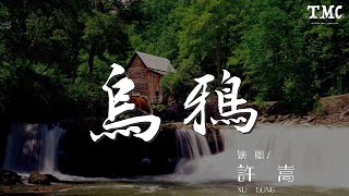 許嵩 - 烏鴉『當我又飛到這裏 俯瞰着模糊山頂』【動態歌詞Lyrics】