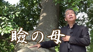 昭和の歌謡決定版！瞼の母(歌：宇田祥次)