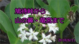 尾瀬鳩待峠から尾瀬ヶ原まではこんな道を歩きます　2018年6月11日