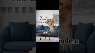 Pov:grandma saved you #funnyrelatable #edit #cat #shorts